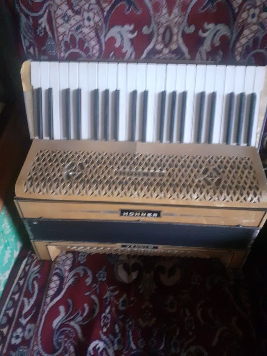 Vand Hohner verdi 2
