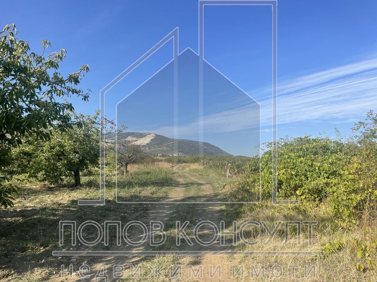 Продава се Парцел в с. Брестник, Област Пловдив - 1800 кв.м за 52 €/кв.м - Снимка #4