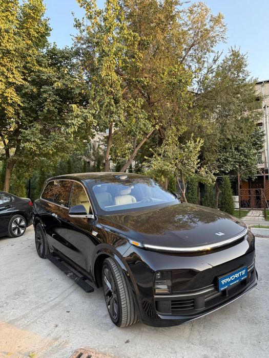 Li9 Ultra 2025 yil nomer olingan