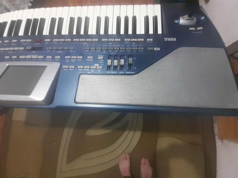 Korg Pa 800  рам 64 мб