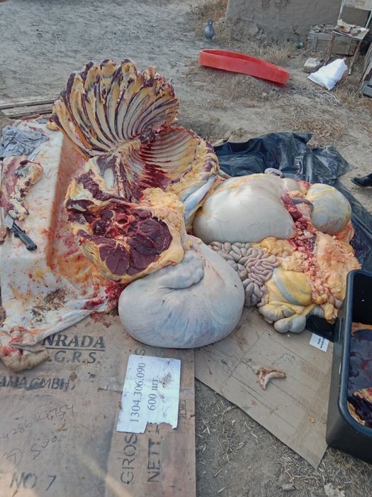 Сиыр ети 3500 ТГ