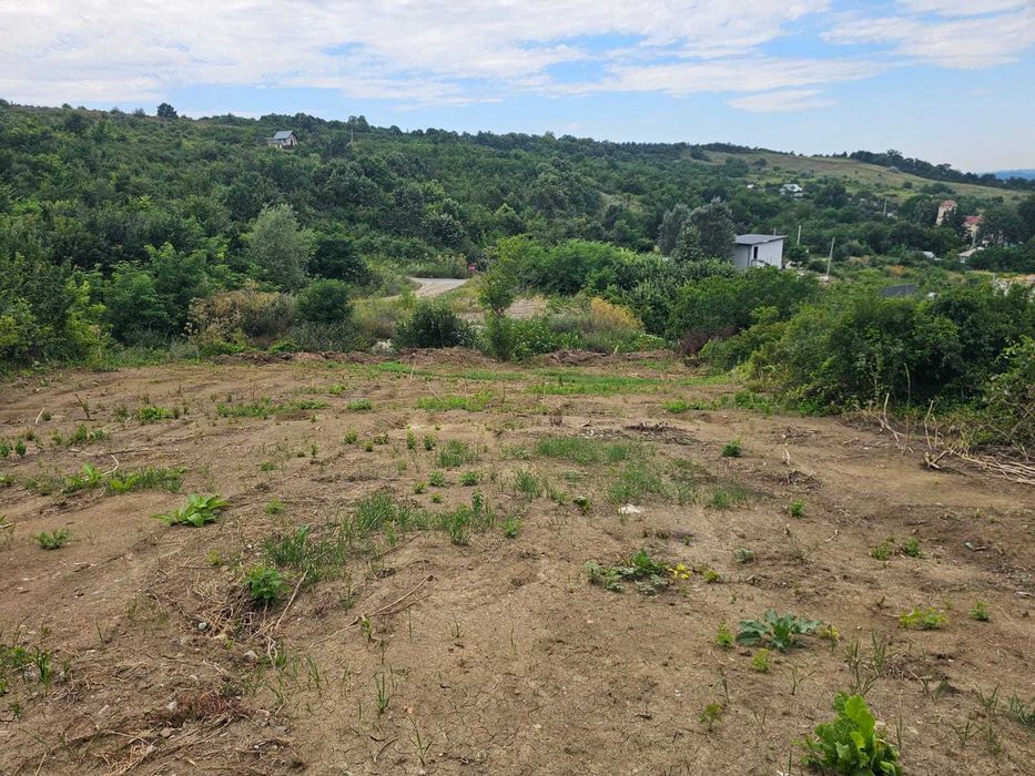 Teren intravilan Vladiceni Tomesti