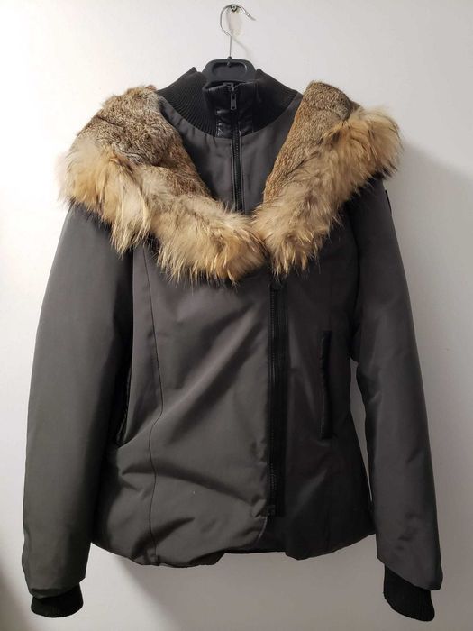 Jacheta dama Canadian Wolf