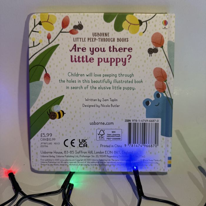 Carte Usborne pentru copii mici “Are you there little puppy?”