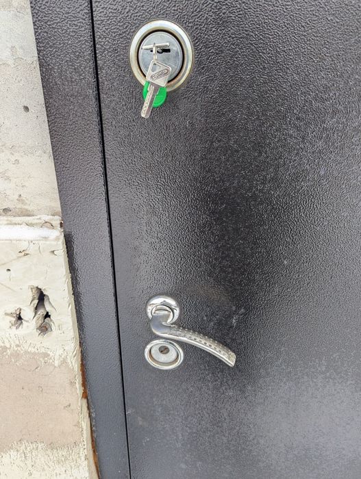 Двери металлические