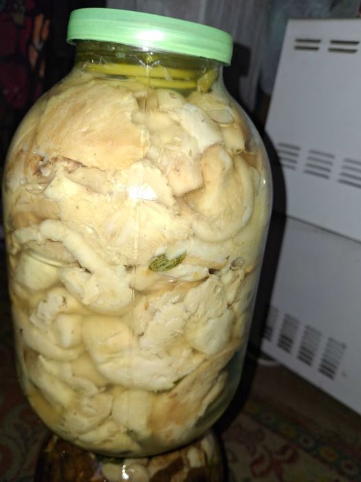 Продам грузди соленые