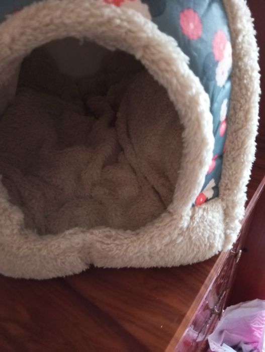 продаю дом для кошки