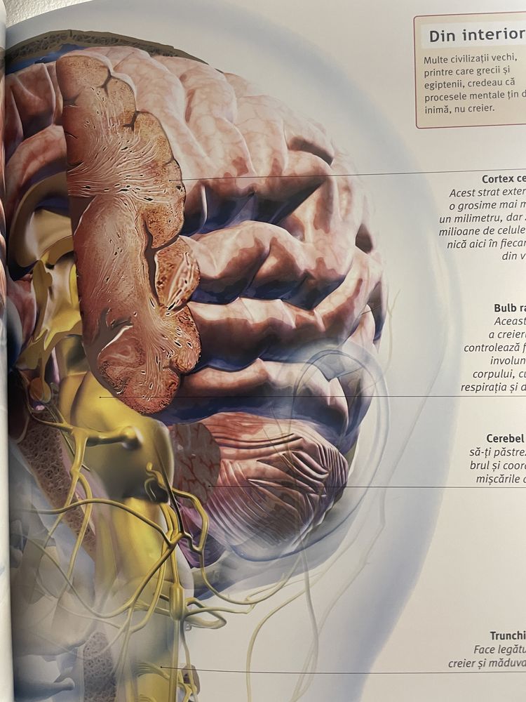 Atlas enciclopedie Corpul Uman Anatomie mare color impecabil