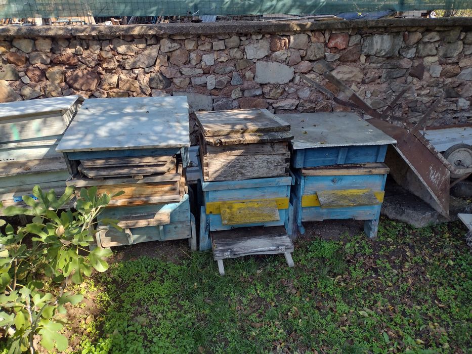 Продавам кошери дадан блат използвани 4 броя.