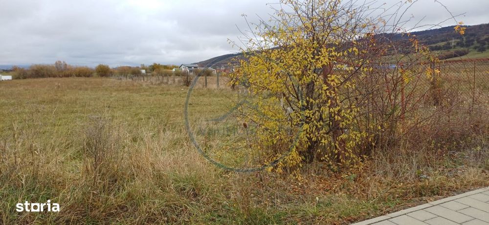 Teren intavilan 5000mp, Unirea zona Aerodrom