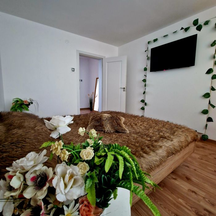FACTURA**Cazare Apartament in Regim hotelier Craiova