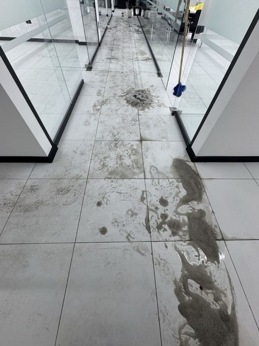 Профессиональный клининг ( premium tozalash)