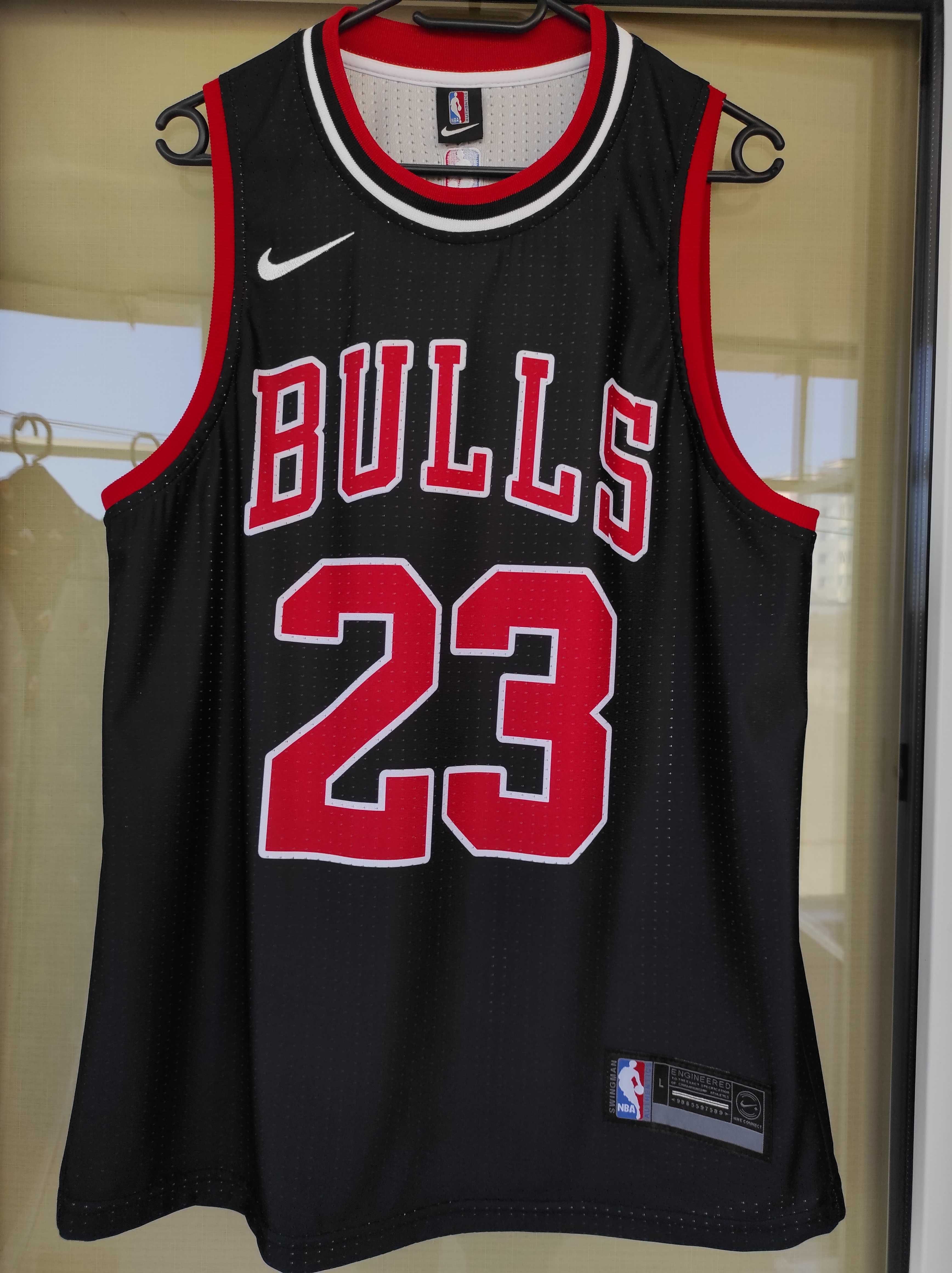 Maieu Chicago Bulls