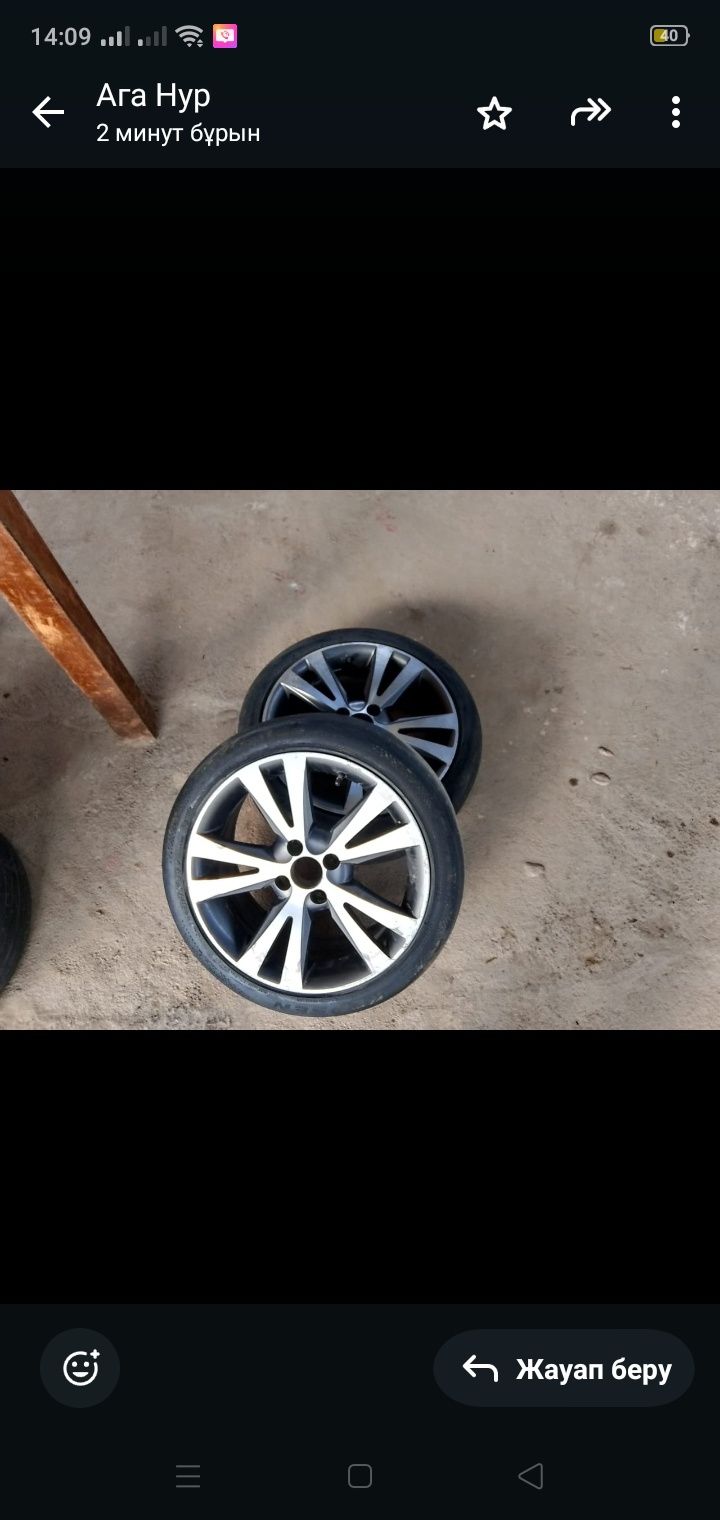Шымкет келсім бар