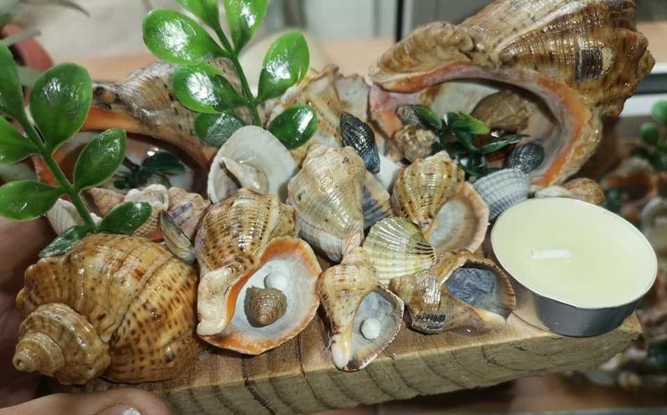 vor sa plece ...anintiri de neuitat