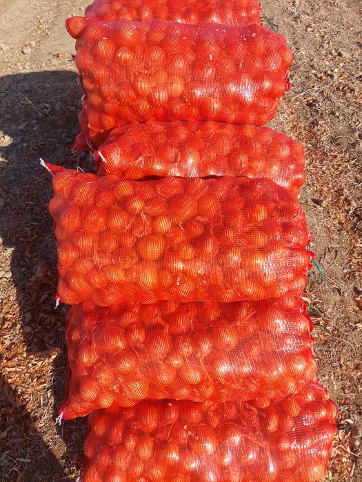 Срочно продам репчатый лук