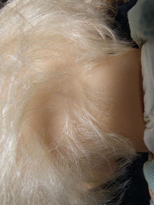 Păpușa de colecție Reborn Reva - vinyl, pictata manual