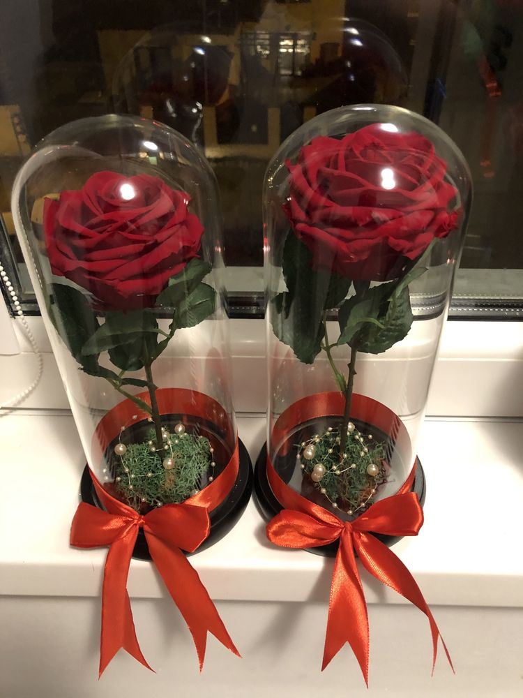 Cupole cu trandafiri criogenati rosii