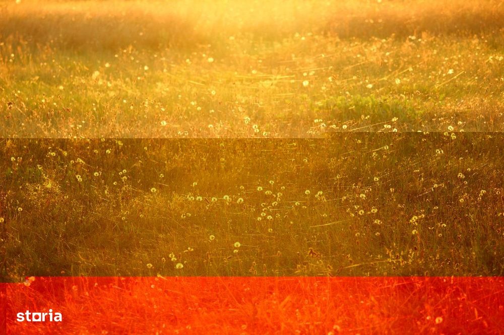 Vand teren 50 ha Marzanesti jud. Teleorman