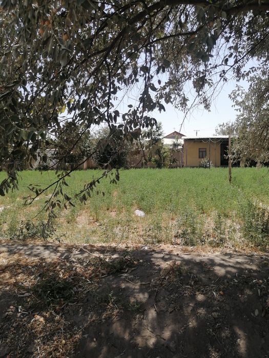 Paxtachi tumani Oxunboboyev f/x M-37 trassa yoqasida hovli sotiladi