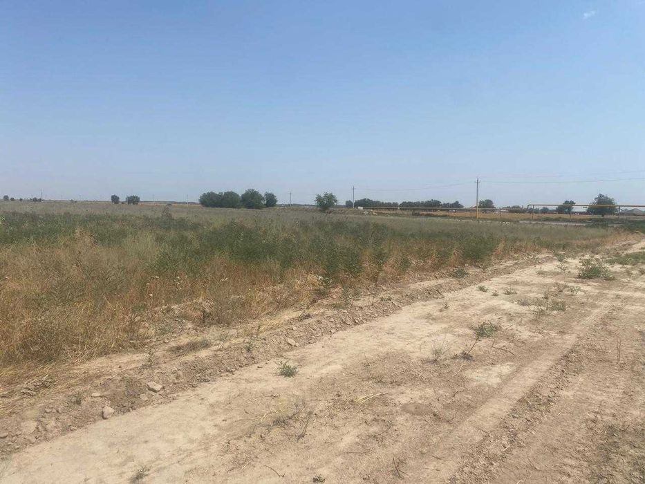 Продам участок вдоль трассы  5 соток ЛПХ. Все документы имеется. Торг.