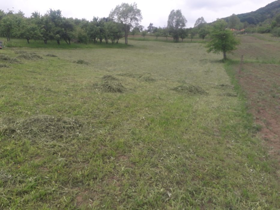 Teren Vladesti Priporu