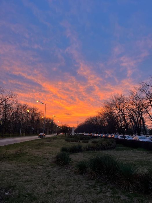 Fotograf Ședințe Foto, Evenimente, Majorat, Petreceri Private Etc. !