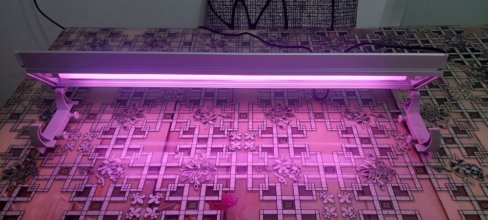 Lampa pentru Acvariu Noua 60 Cm