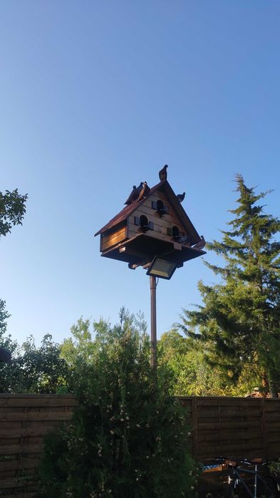 Къща за гълъби, птици