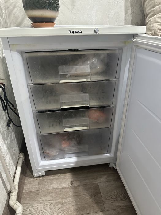 Маразмльник маразилтная камера