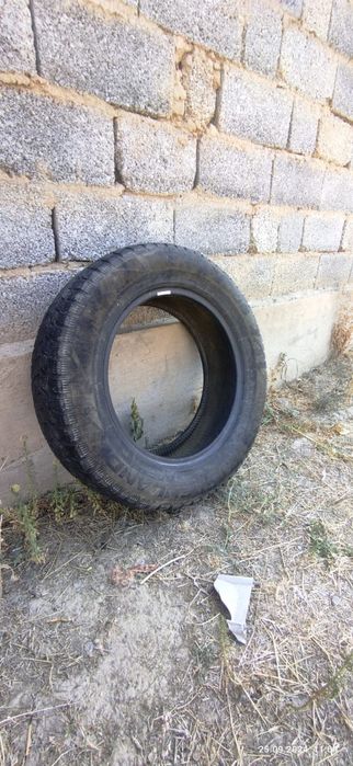 Продам 1 шт зимнии балон 15 размер.
