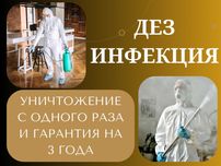 Дезинфекция от клопов дезинфекция клапа дезинфекция скорпионов змей