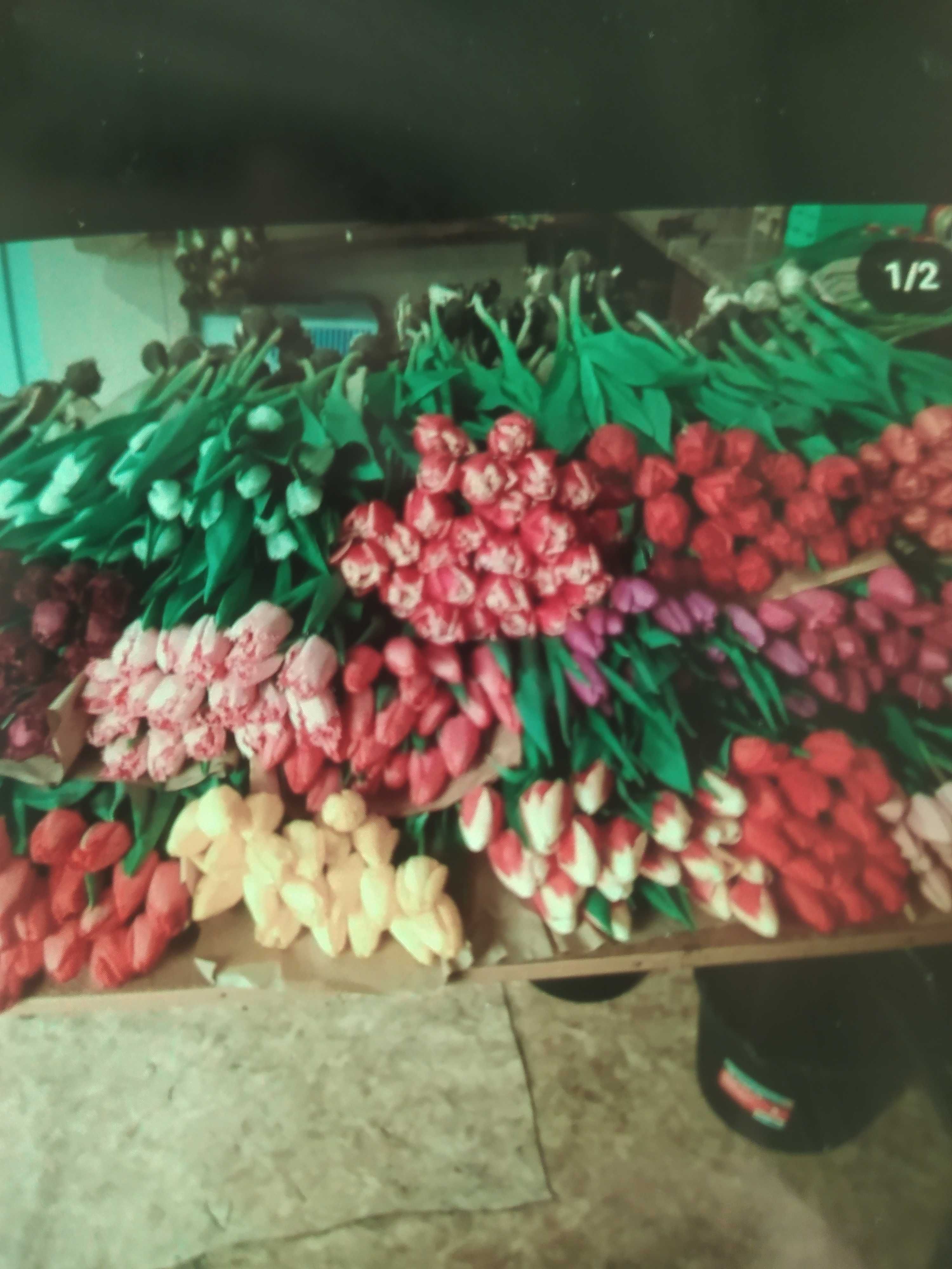 Тюльпаны к 8 Марта