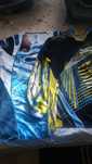 Bluza activitati