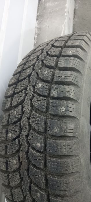 Продам шипованную шину