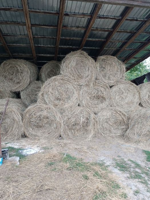 Baloți rotunzi de vânzare!