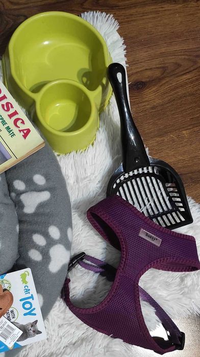 Pat pisica + accesorii