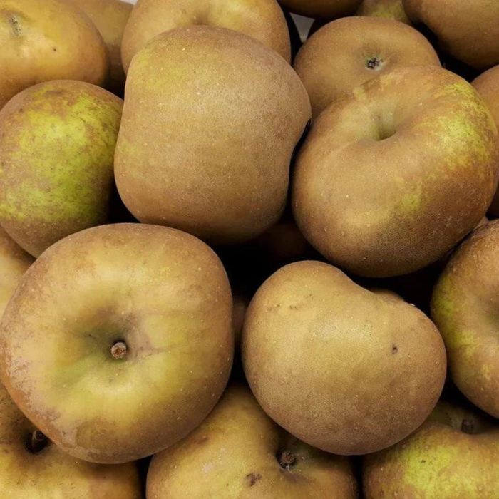 Mar (Soiul Renet De Canada )