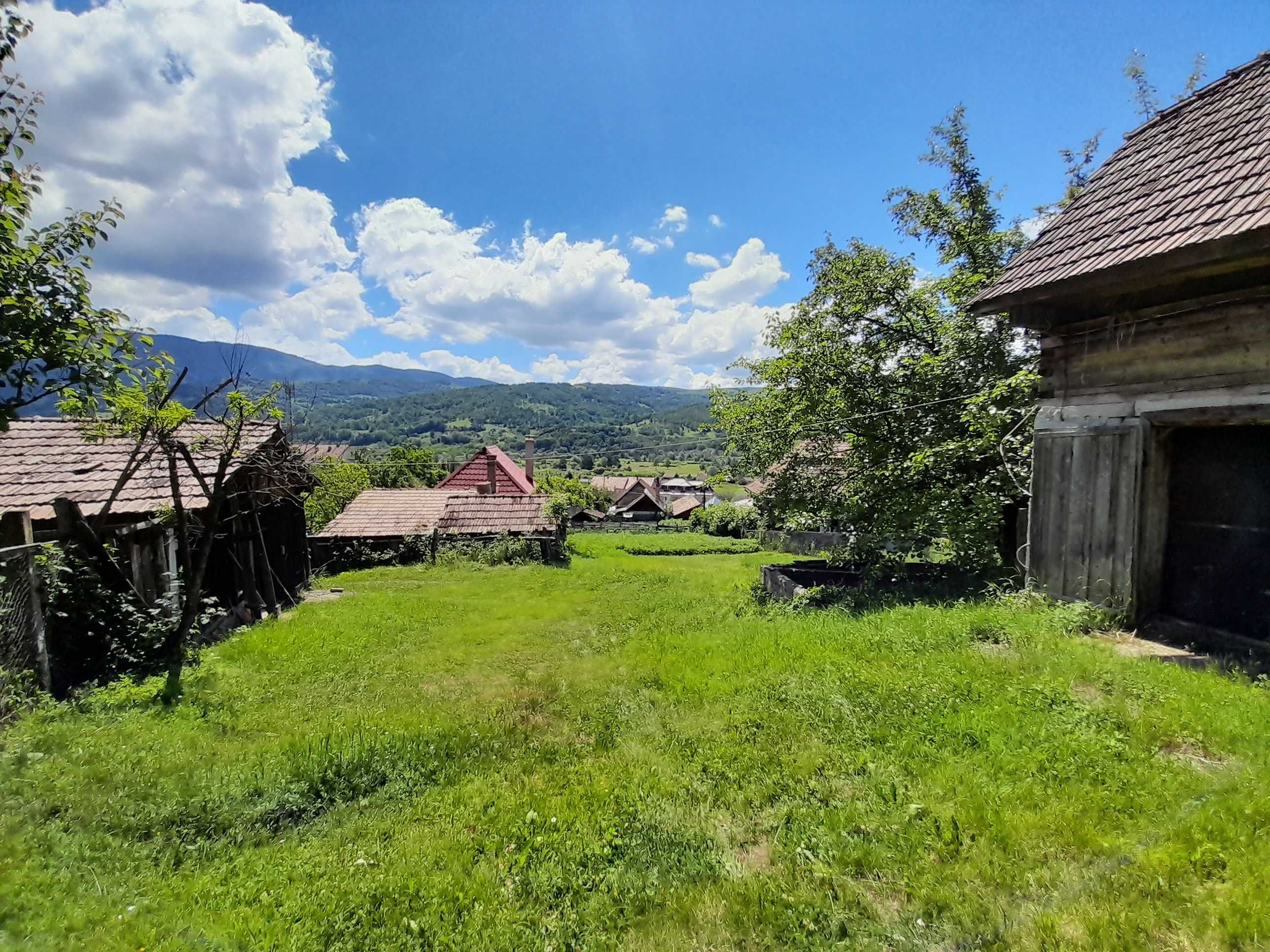 Vanzare casa cu anexe si 5500 mp teren, Valea Ariesului, Salciua