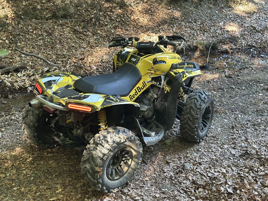 Can Am Renegade 2010 800cc Servo