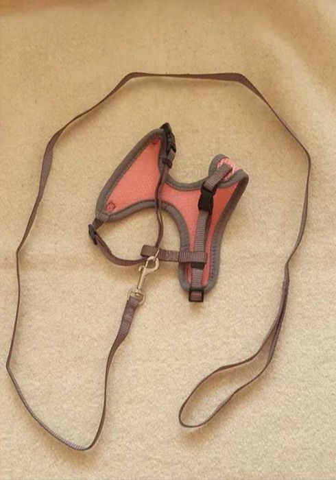 Нагръдник с повод