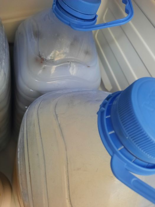 Қазығұрттың қымызы