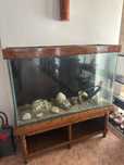 acvariu 400 l complet