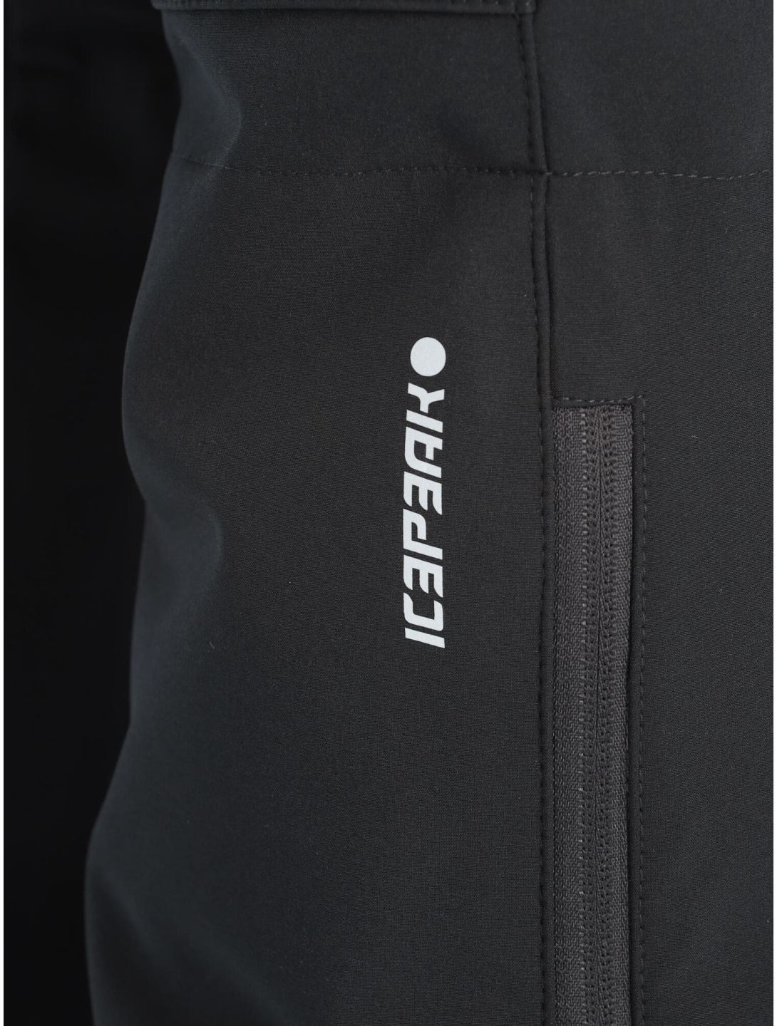 Icepeak (Финляндия) Мужские мембранные горнолыжные штаны softshell 10К