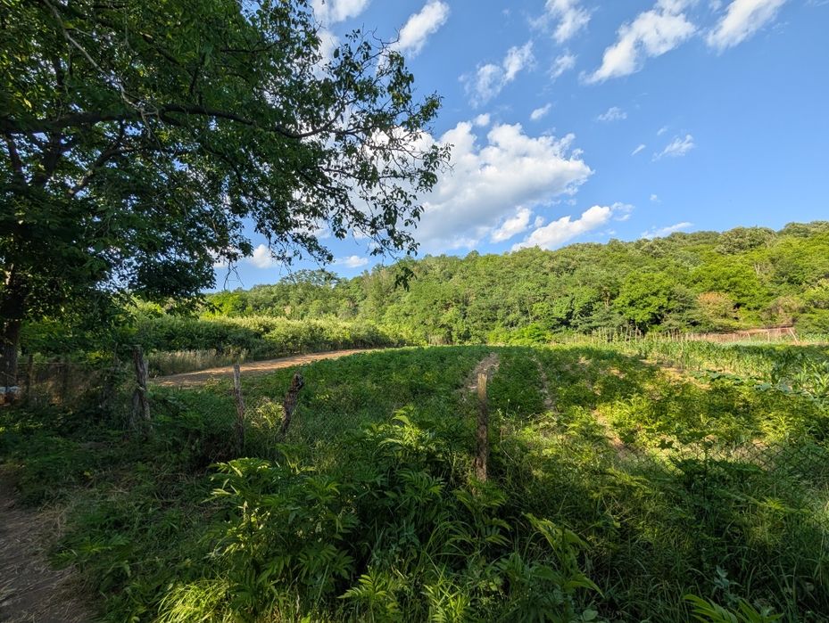 Teren intravilan 800 mp, in orașul Geoagiu