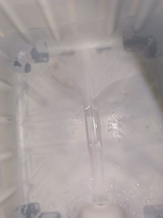 Bazine ibc 1000l curate