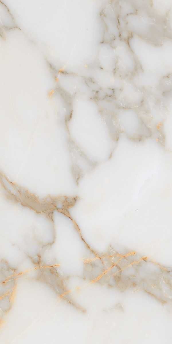 Gresie Alex Calacatta 60x120 Lucioasa
