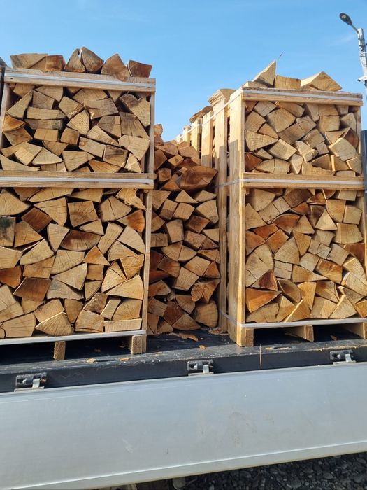 Lemne de foc fag esenta tare