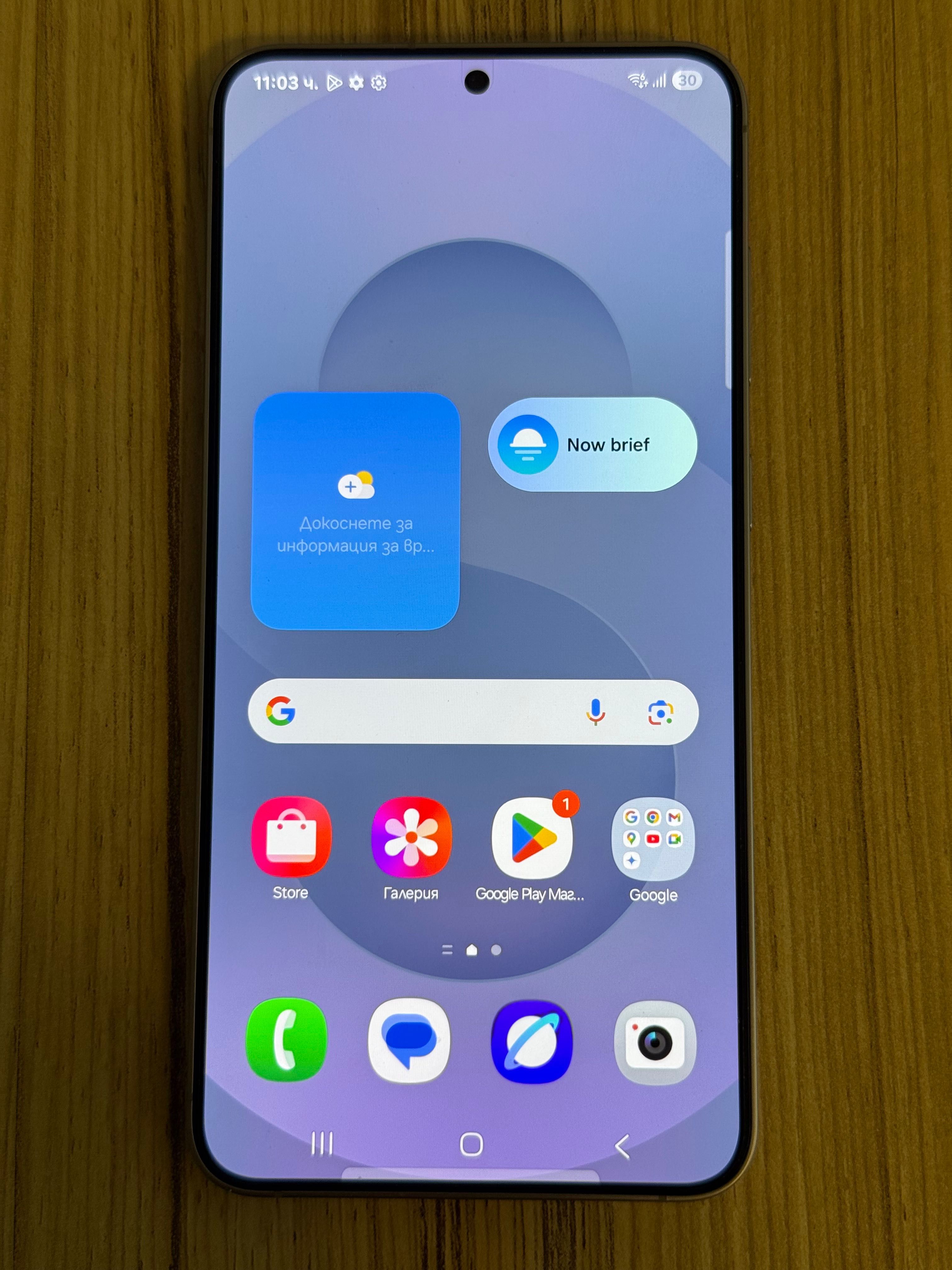 Samsung Galaxy S25+ 256 GB Silver Shadow