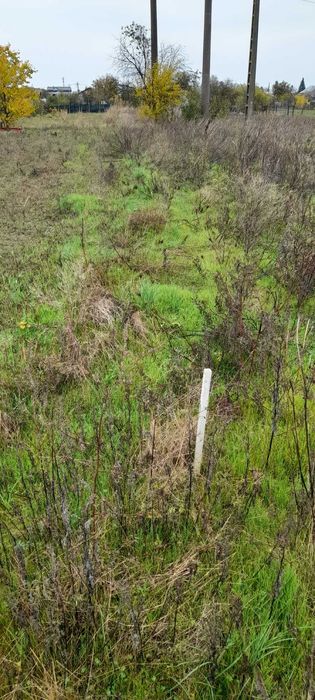 teren intravilan Mihailesti